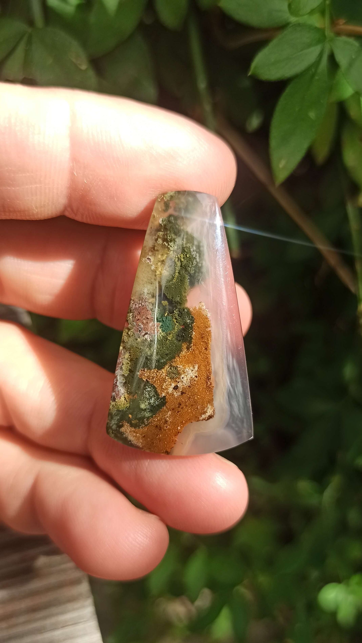 Cabochon Agate Mousse ~ Indonésie 🌴