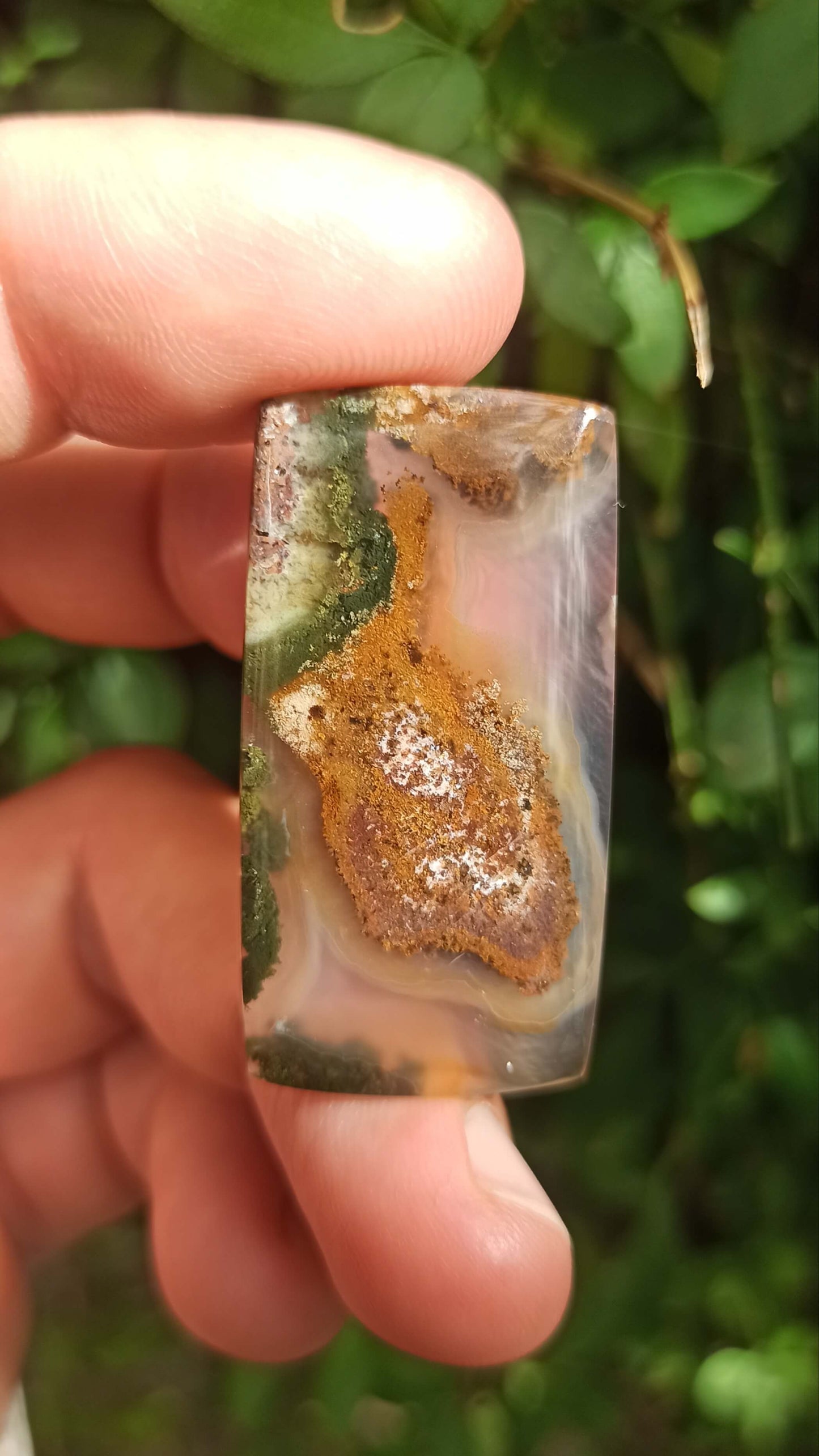 Cabochon Agate Mousse ~ Indonésie 🌴