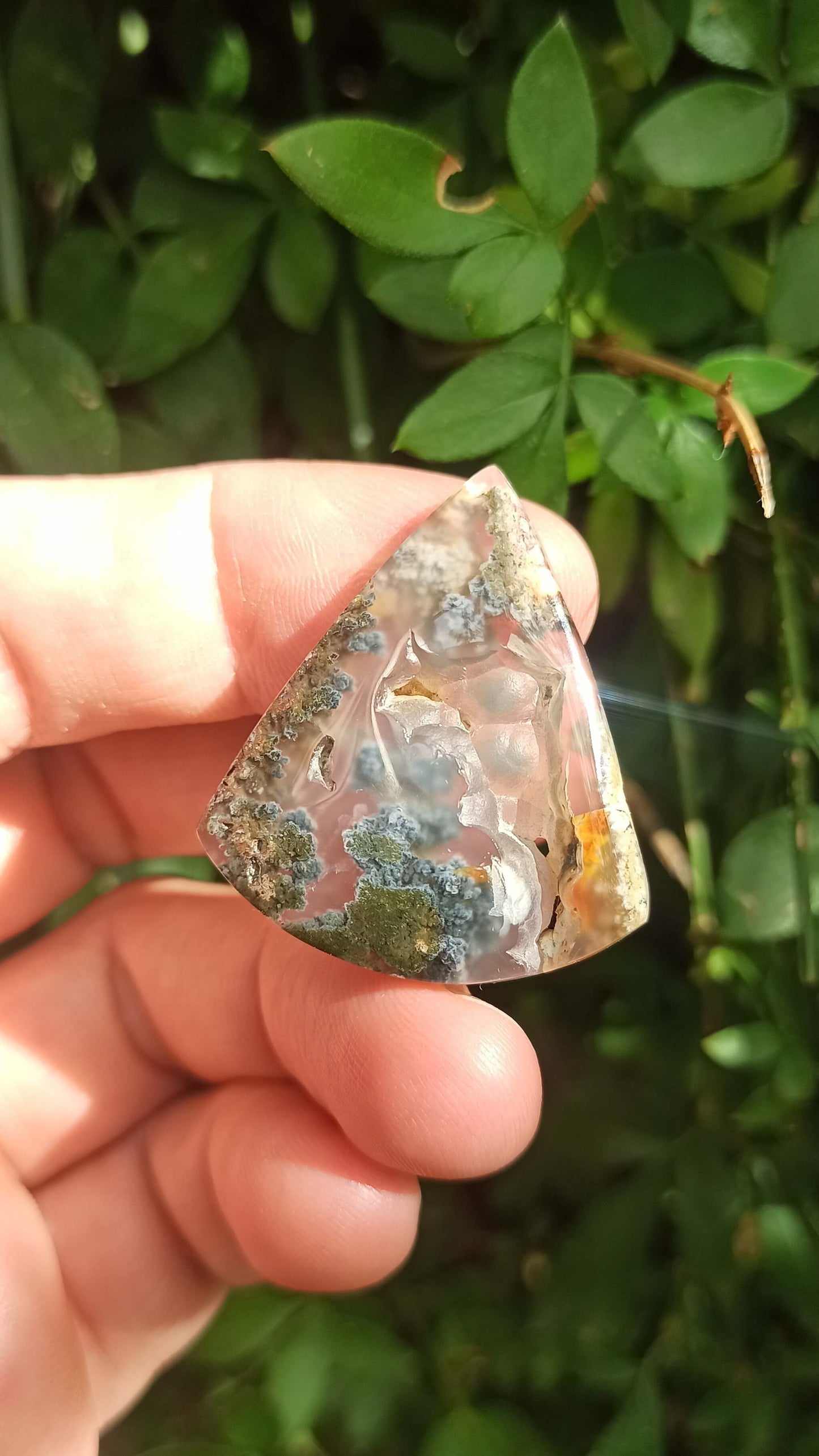 Cabochon Agate Mousse ~ Indonésie 🌴