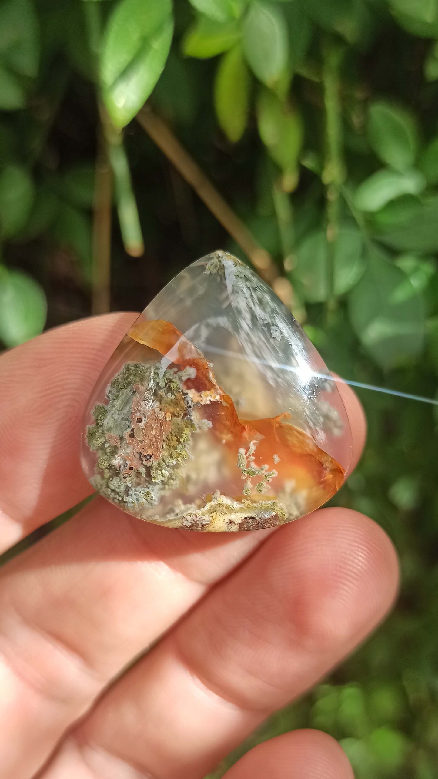 Cabochon Agate Mousse ~ Indonésie 🌴