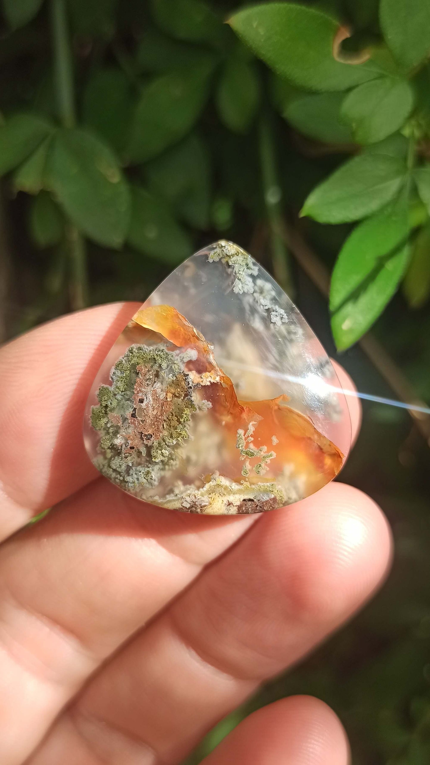 Cabochon Agate Mousse ~ Indonésie 🌴