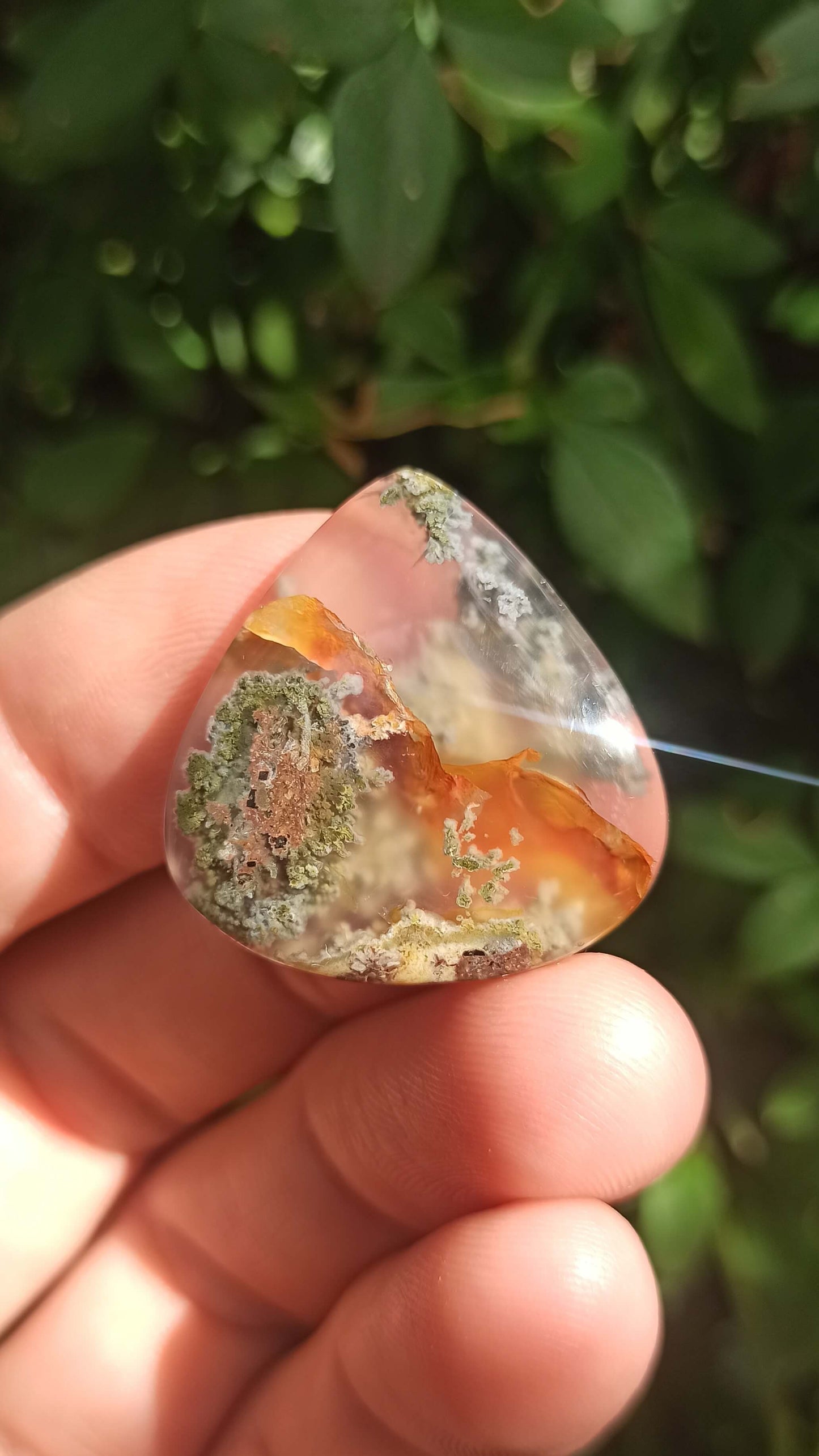 Cabochon Agate Mousse ~ Indonésie 🌴