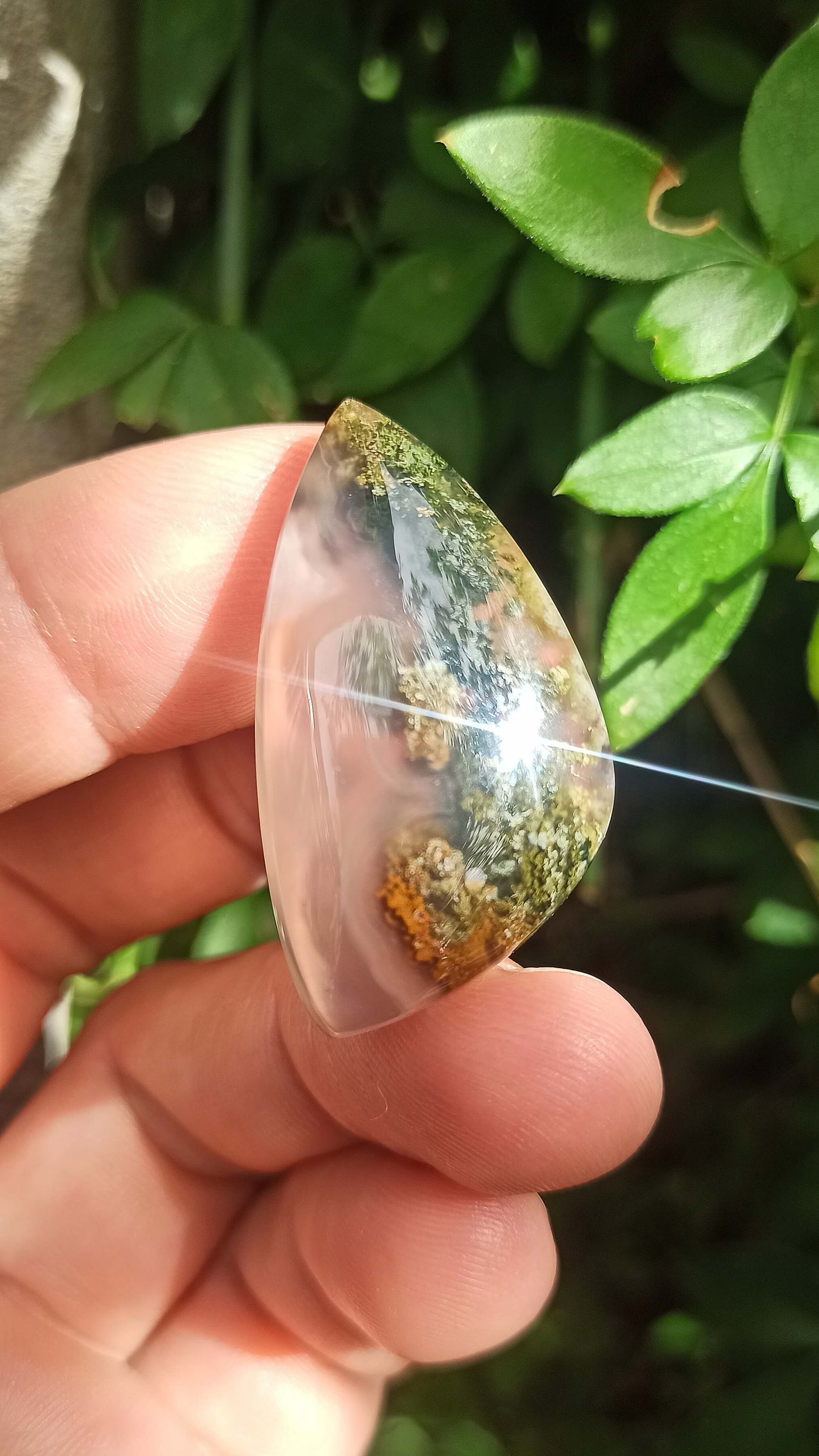 Cabochon Agate Mousse ~ Indonésie 🌴