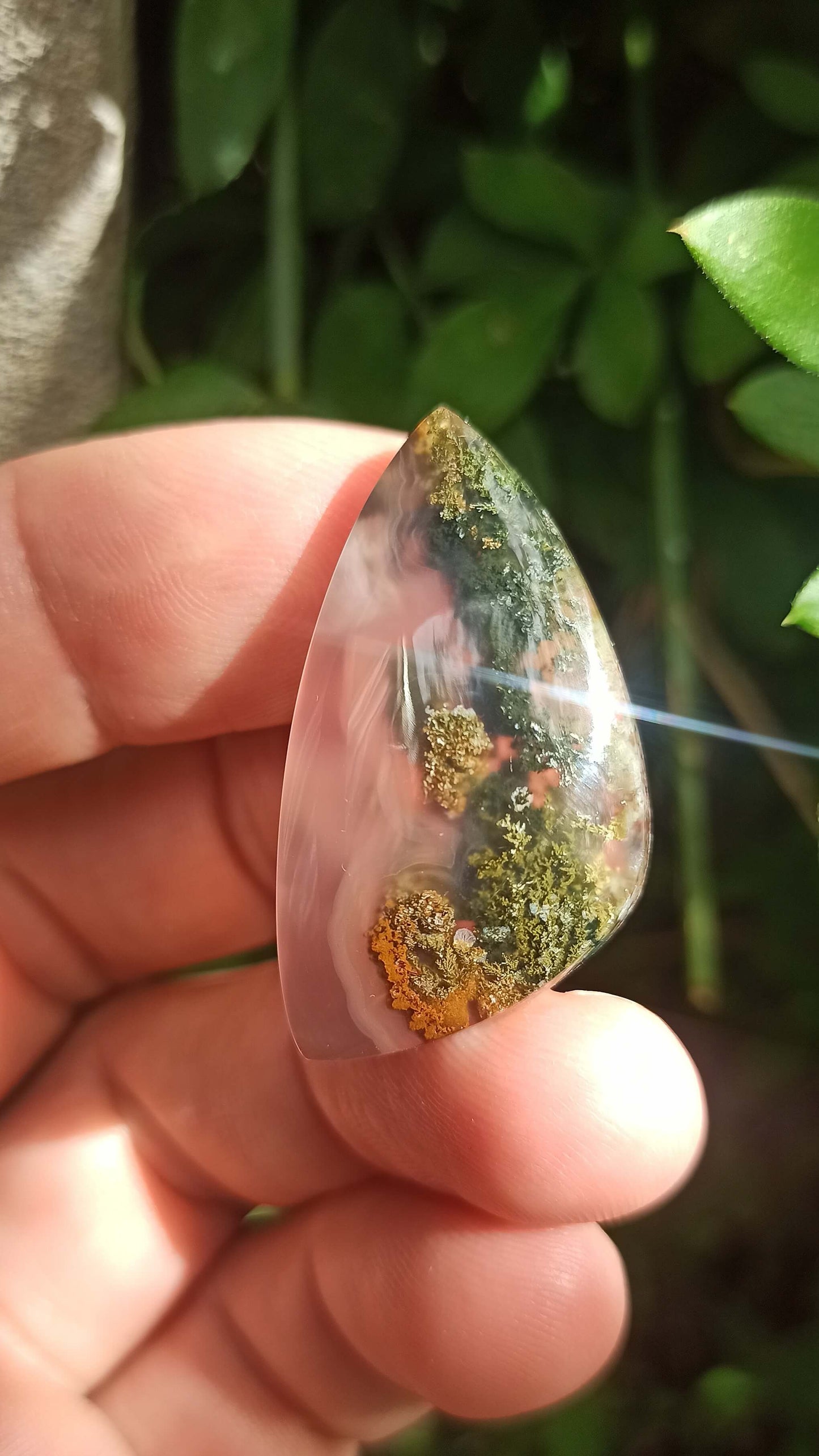Cabochon Agate Mousse ~ Indonésie 🌴