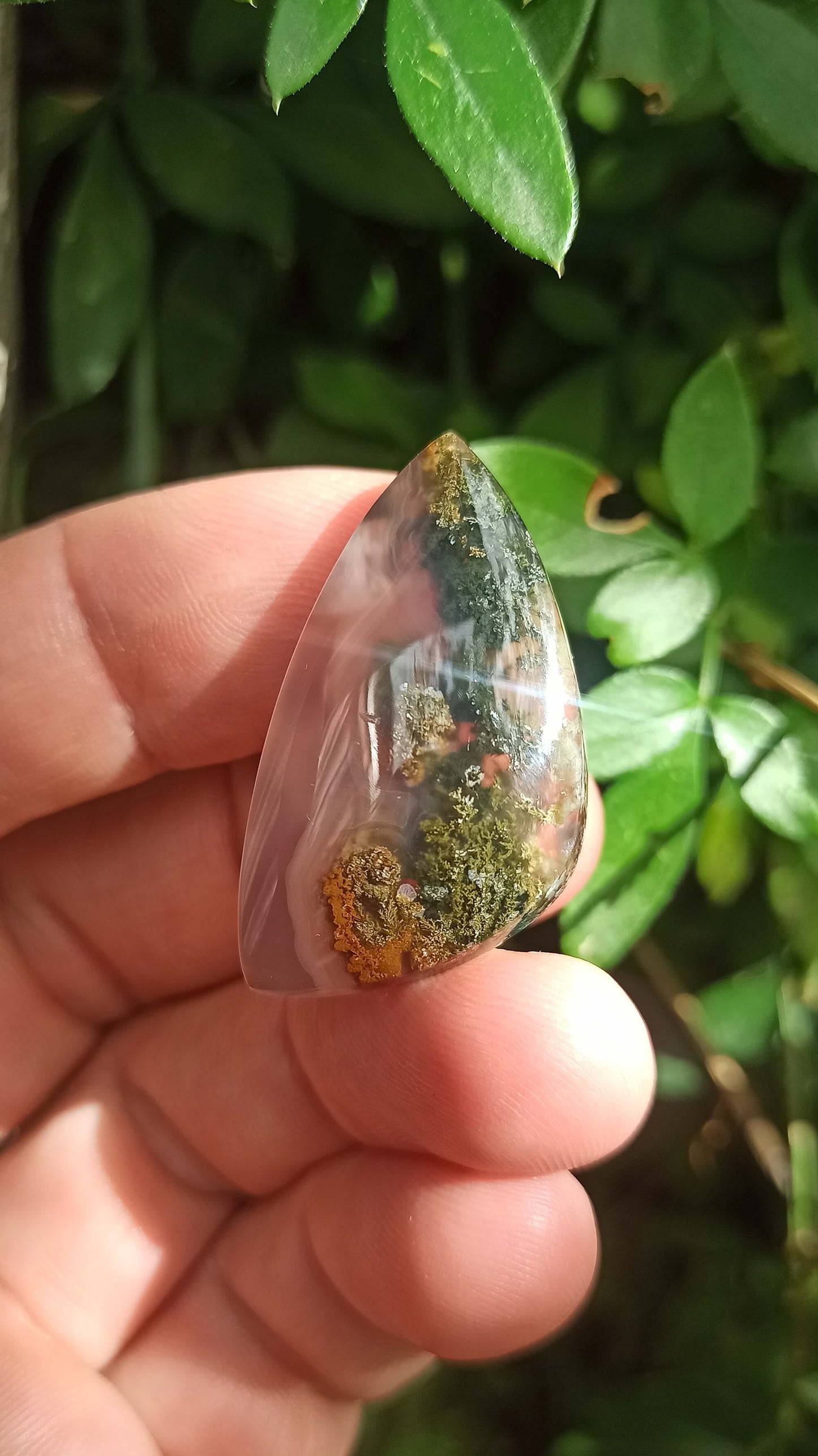 Cabochon Agate Mousse ~ Indonésie 🌴