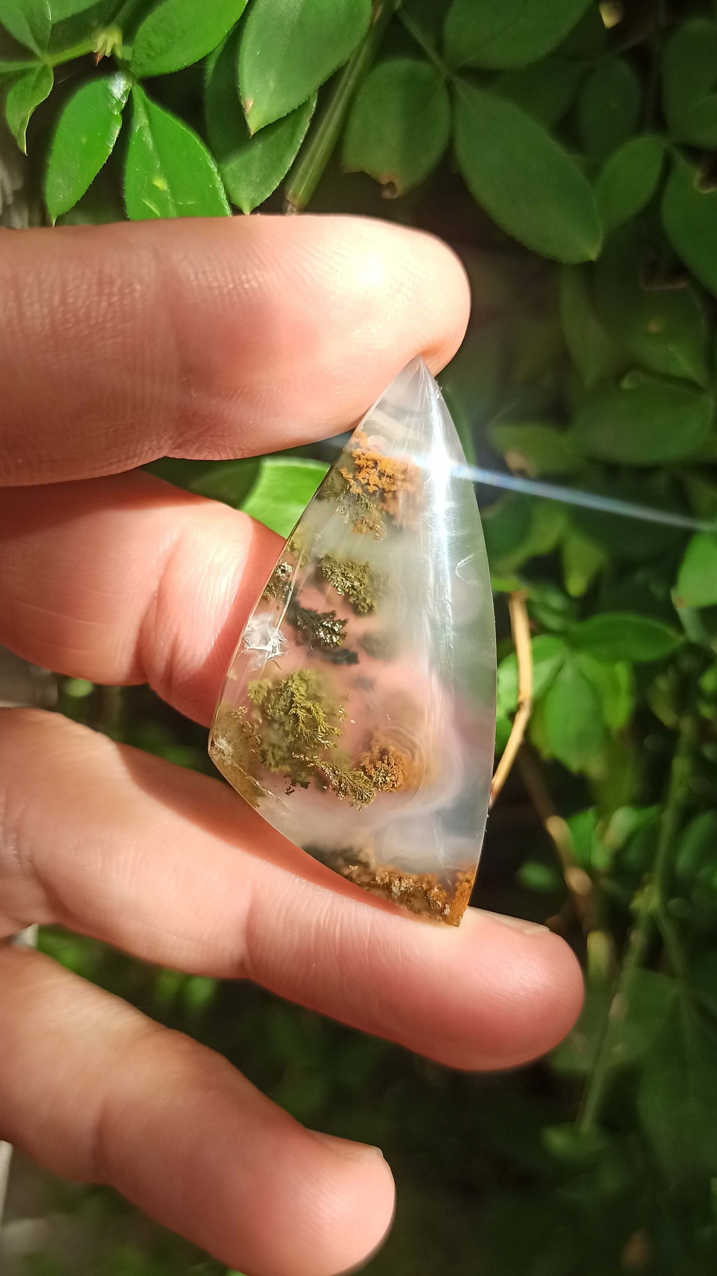 Cabochon Agate Mousse ~ Indonésie 🌴