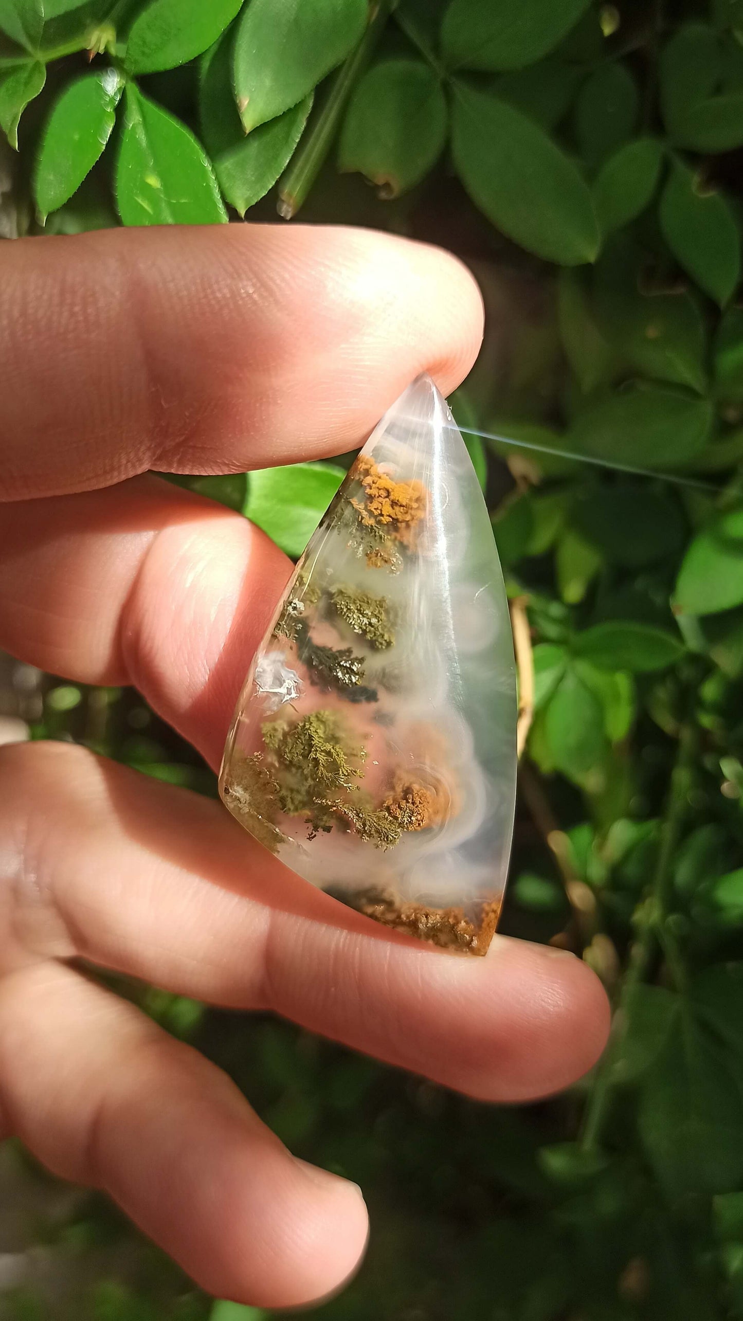 Cabochon Agate Mousse ~ Indonésie 🌴