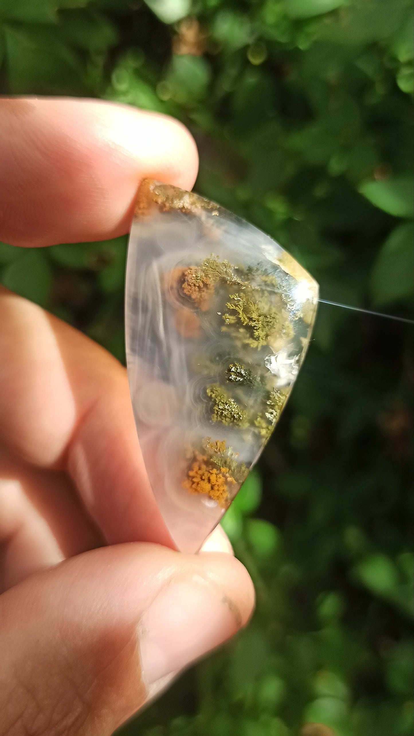 Cabochon Agate Mousse ~ Indonésie 🌴