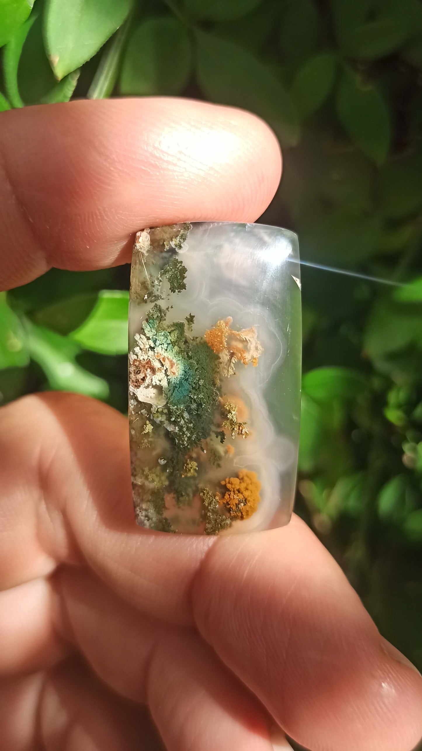 Cabochon Agate Mousse ~ Indonésie 🌴