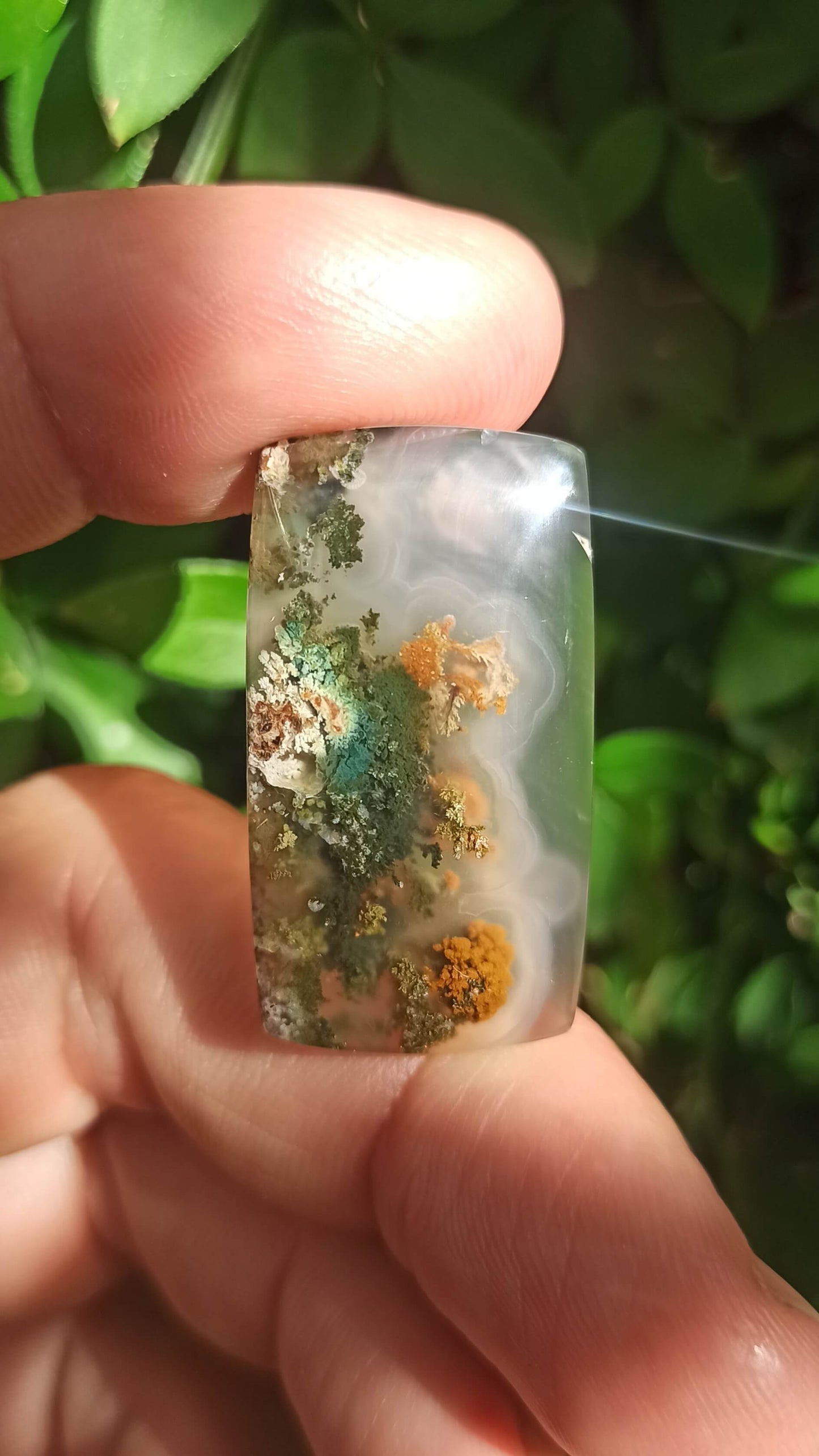 Cabochon Agate Mousse ~ Indonésie 🌴