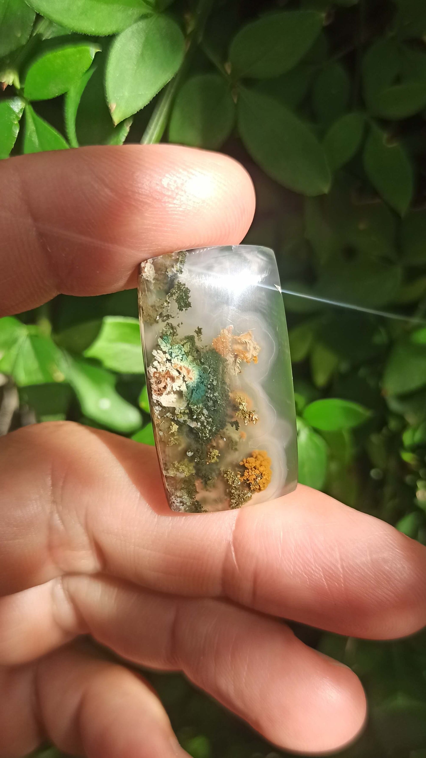 Cabochon Agate Mousse ~ Indonésie 🌴