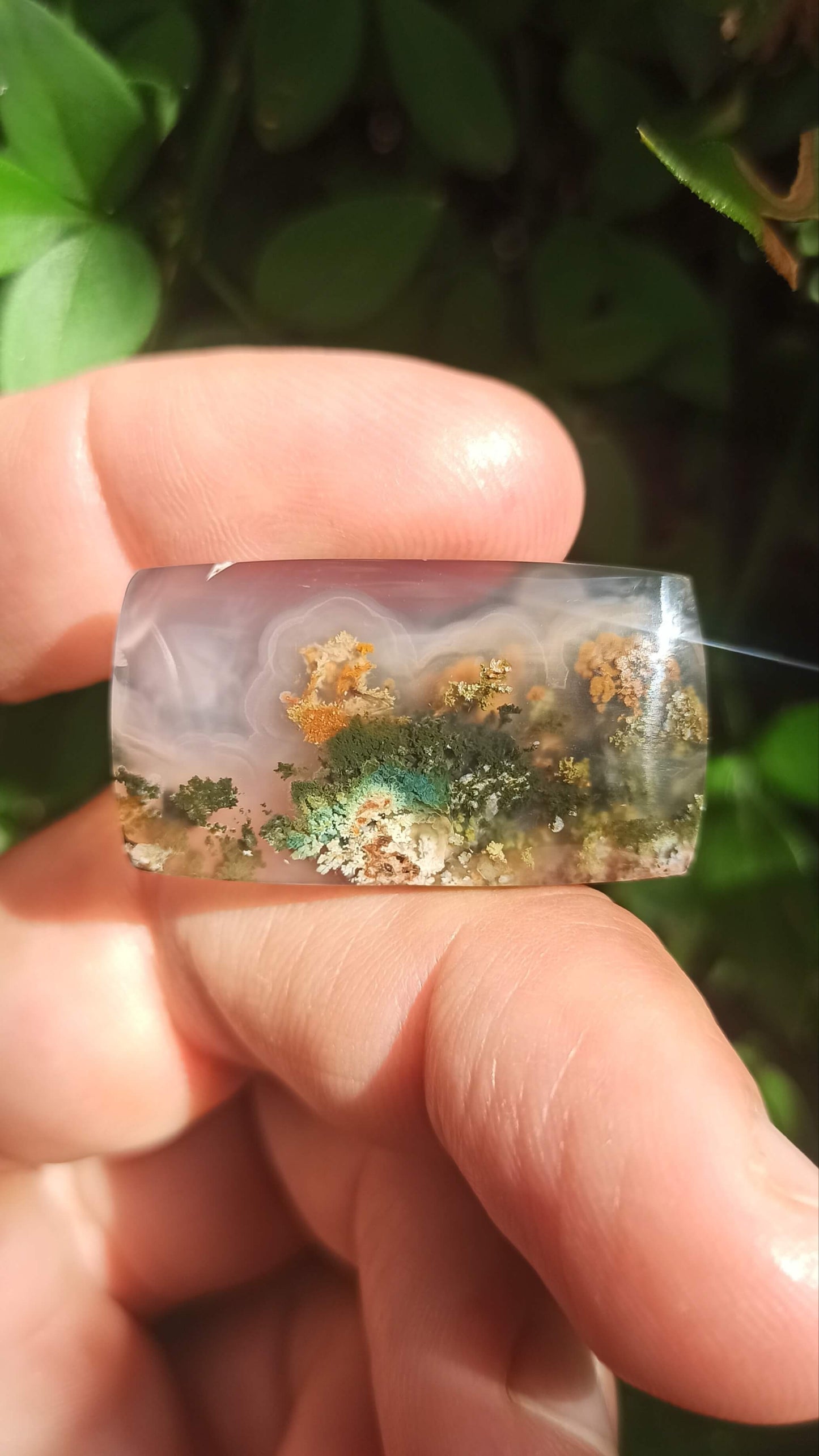 Cabochon Agate Mousse ~ Indonésie 🌴