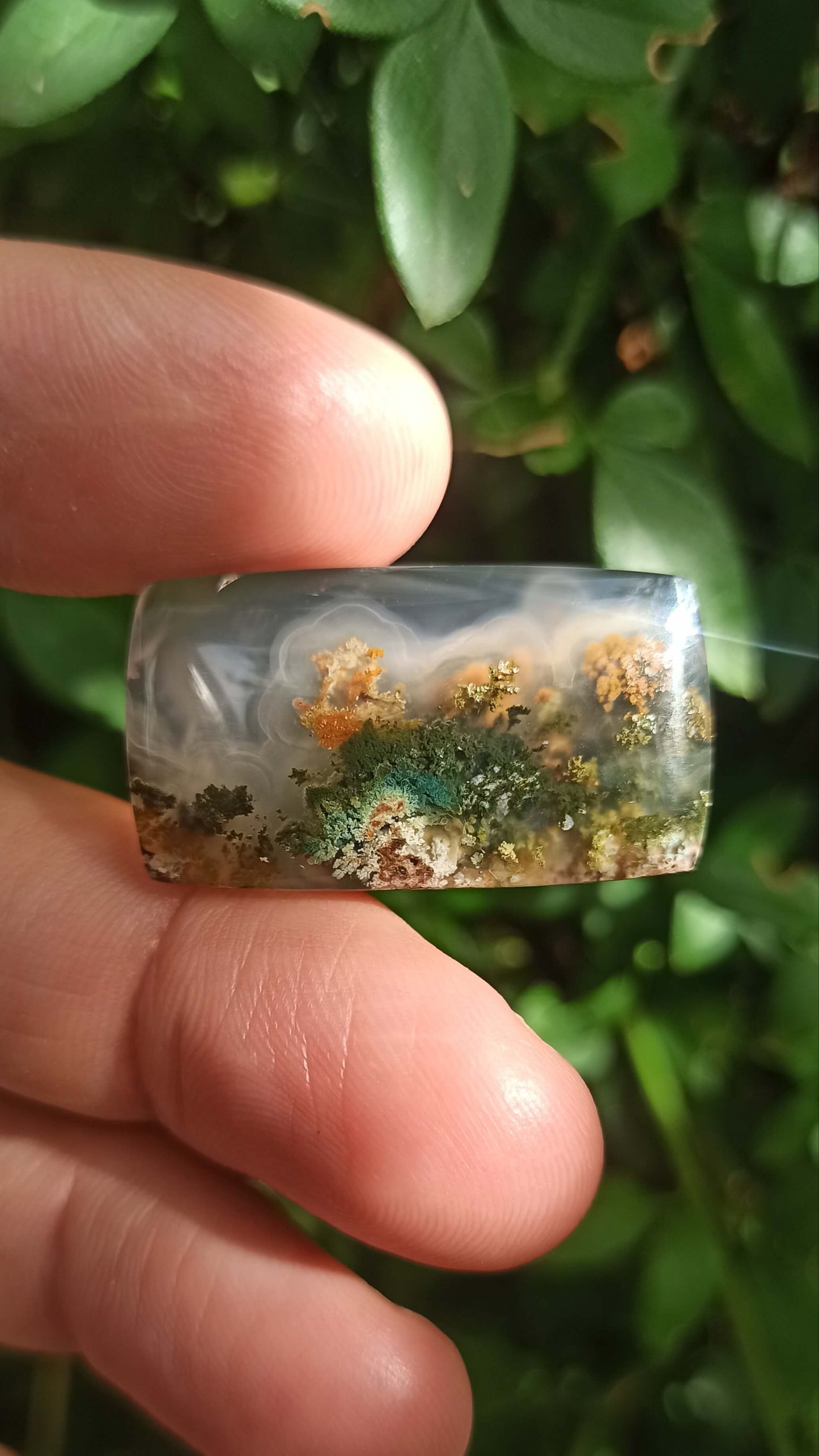 Cabochon Agate Mousse ~ Indonésie 🌴