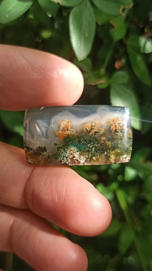 Cabochon Agate Mousse ~ Indonésie 🌴