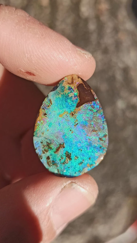 Opale Boulder Bleue Océan • Winton 🇦🇺