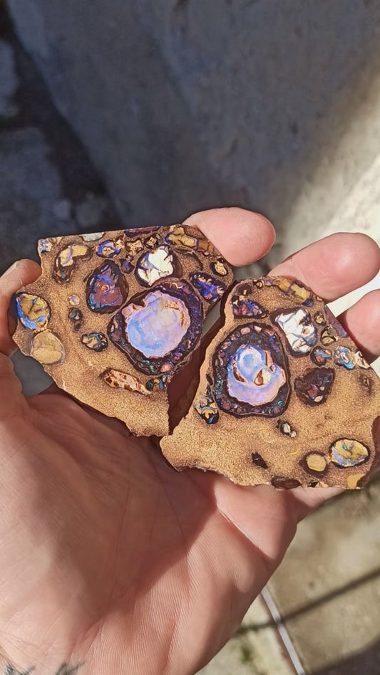 Collector Boulder Opal Split • Koroit 🇦🇺